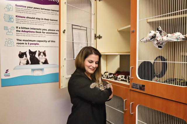 alexis holding a kitten in kitty city