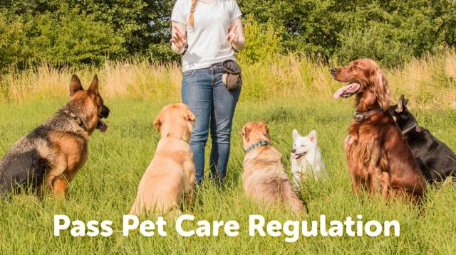Utah pet care regulations