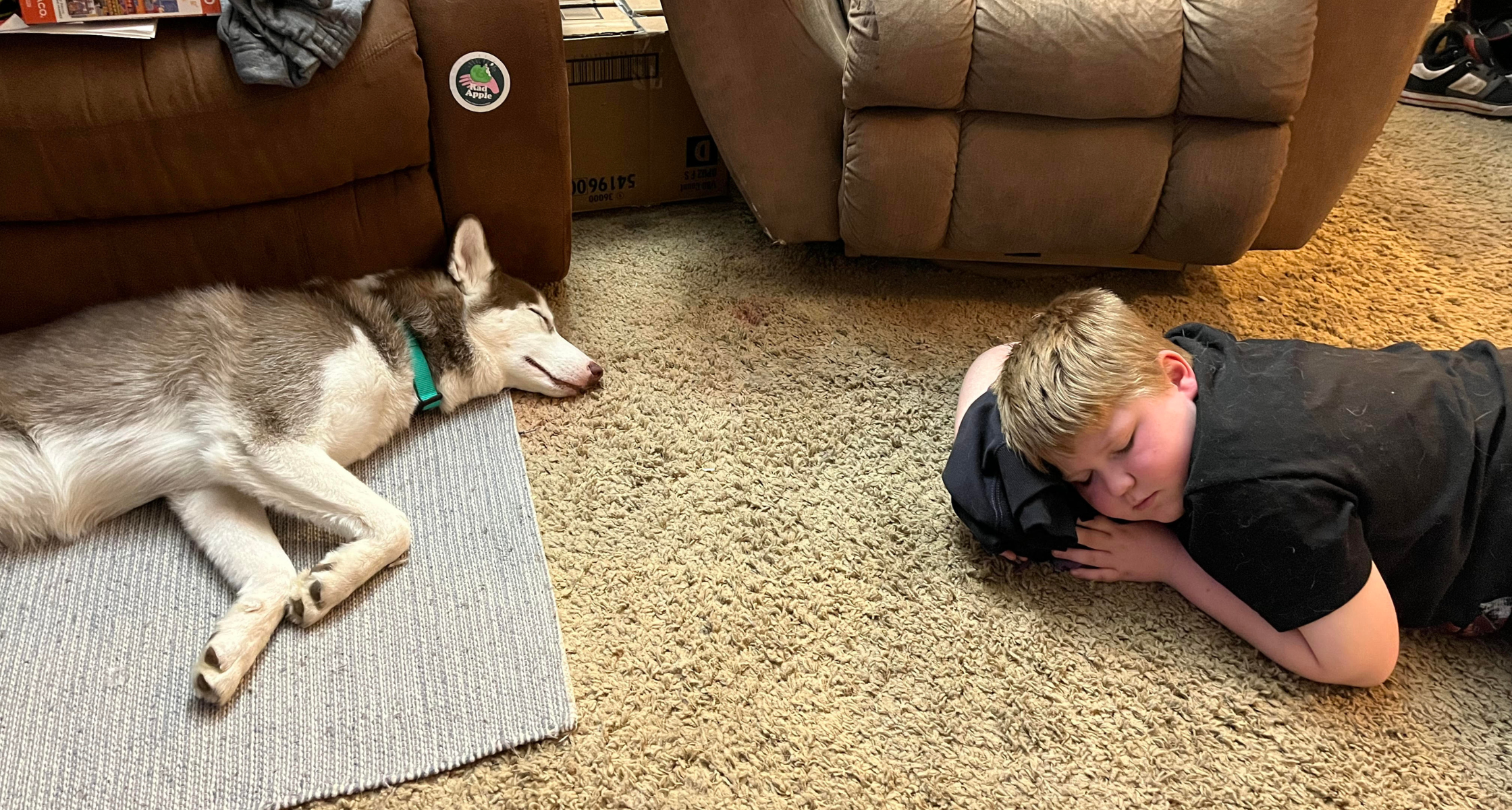 ES(A+): Nimbus’s Story