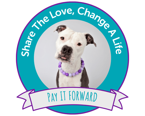 Pay It Forward Logo with a black and white dog 